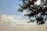 Tennessees-Lake-Ocoee
