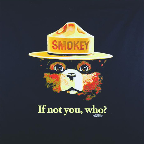 Smokey If Not You Bandana - Bandanas - River Gear